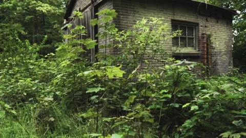 Camera slowly panning around abandoned building being reclaimed by nature Видео 292528764