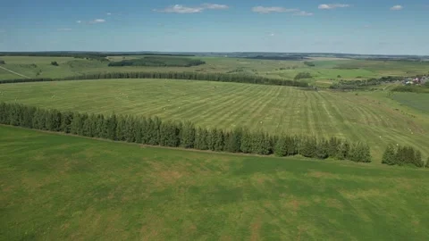 The camera slowly rises above a green field revealing a view of twisted haystack Stock Footage 270484374