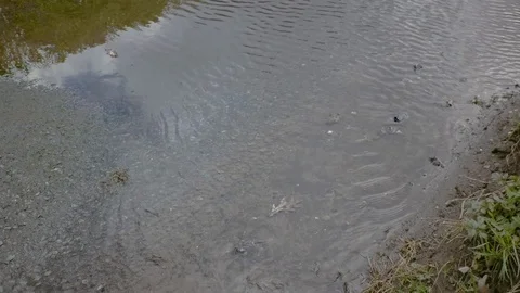 Camera slowly shows water falling into sewage drain. Stock Footage 89313349