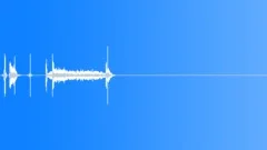 CAMERA Sound Effect