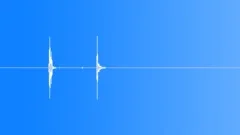CAMERASound Effect