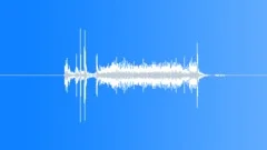 CameraSound Effect