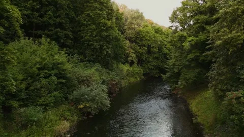 Camera span along the riverbed in Bernardinai Garden in Vilnius Lithuania  Video stock 248860772