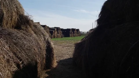 Camera span between haystacks on a farm Stock Footage 116975000