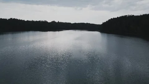 The camera spills over the surface of a lake in the middle of a forest 動画素材 248859764
