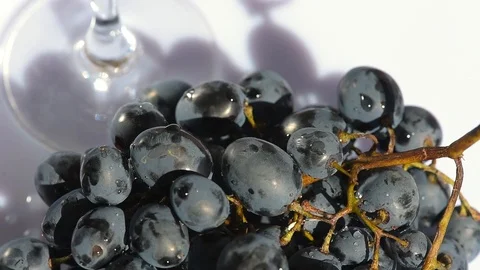 Camera spin around dark grape and glass Stock Footage 96306428