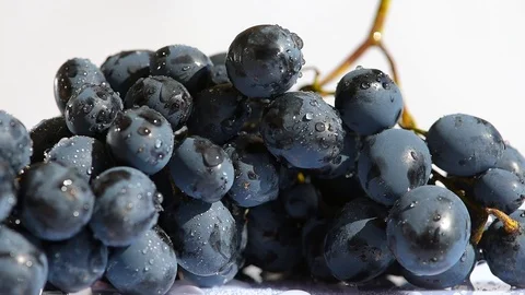 Camera spin around wet grape close up Stock Footage 96306244