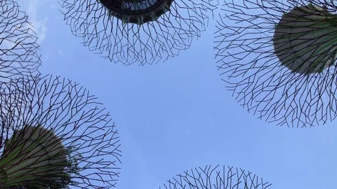 Camera spins under Supertree Grove at Gardens by the Bay in Singapore Stock Footage 83342902