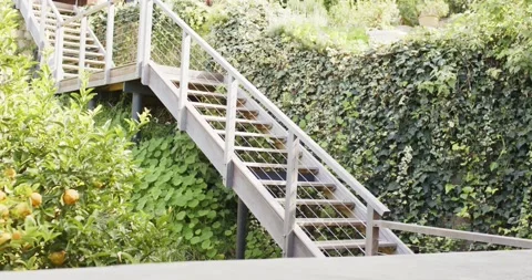 Camera starting capturing garden stairs with cable rails, fruit shrub and ivy Stock Footage 340986671