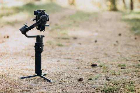 Camera on steady cam writing video in the woods Stock Photos