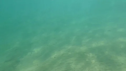 The camera is submerged under water in Red Sea Stock Footage 126959213