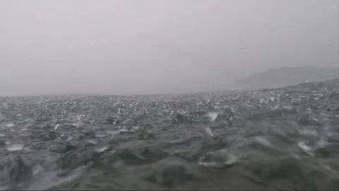 Camera submerges for underwater shot in rain, parrotfish at staghorn coral reef Video stock 157450837