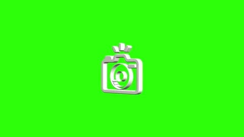 Camera With Sun Rays Icon Green Screen Animation 스톡 동영상 346442241