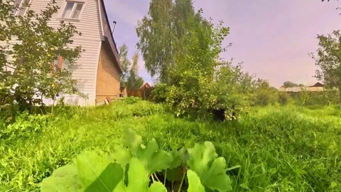 The camera takes off from the grass of the lawn over the garden plot. Stockbeeldmateriaal 248896607