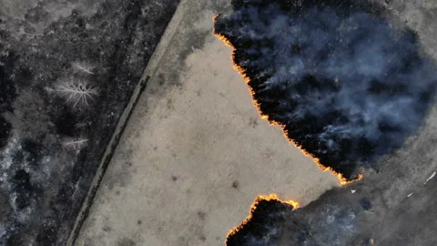 The camera takes off over a piece of burning field. Stock Footage 106358295
