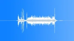Camera Taking a PictureSound Effect