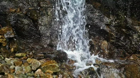 Camera tilt, cascade in forest Stock-Footage 864507
