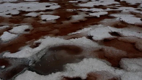 Camera tilt up from crystal salt rock salty beach shore to red pink sea water Stock Footage 70355879