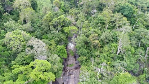 Camera Tilt Down Birds Eye View of a Waterfall In A Jungle, 4K Stock Footage 96774668