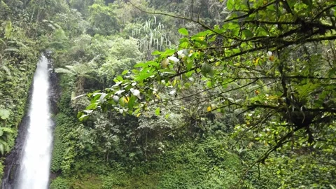Camera Tilt Down From Green Trees to Big Waterfalls Pond Stock Footage 150348091