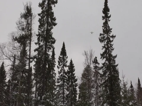 A camera tilt down on trees and plane Video stock 79691763