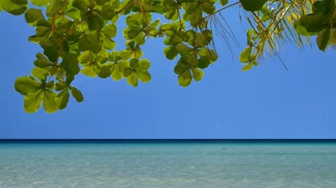 Camera tilt down of the tropical seascape in UHD Video stock 62834707