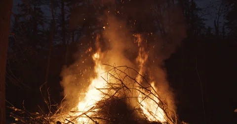 Camera tilt up from a forest bonfire to the sky as sparks rise in the air Stock Footage 122075274