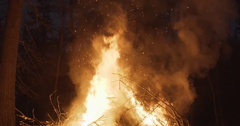 Camera tilt up from a forest bonfire to the sky as sparks rise in the air Stock Footage 122075330