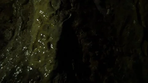 A camera tilt of reflecting light on wet stalactites on a cave wall Stock Footage 134250525