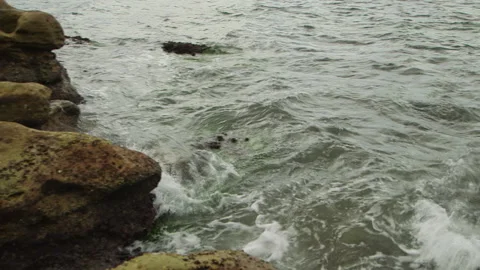 CAMERA TILT FROM ROCKS TO SYDNEY OPERA HOUSE Stock Footage 141662459