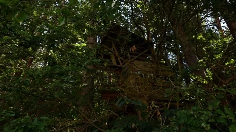 A camera tilt shot of an old broken high stand between trees Stock Footage 136950827