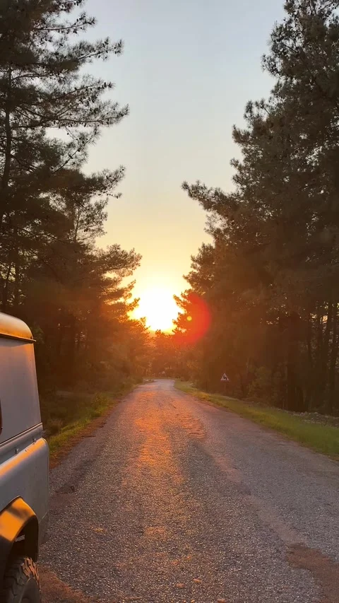 Camera tilt from sky to forest road at sunset, cinematic golden hour Stock Footage 333925895