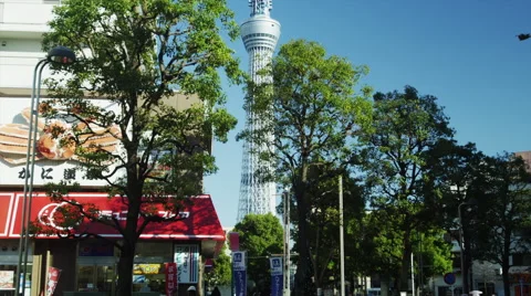 Camera Tilt of Tokyo Sky Tree Stock Footage 64384059