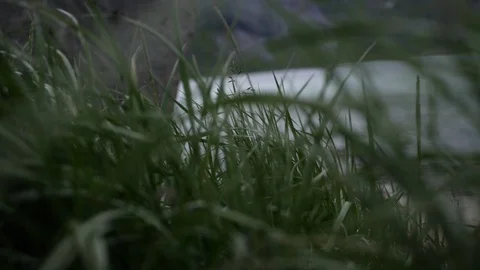 Camera tilt up from wind blown grass revealing ragged mountain range in 스톡 동영상 126898394