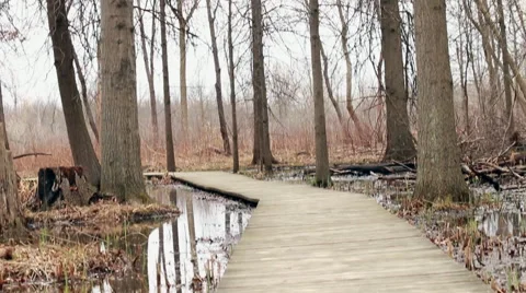 Camera tilting up from boardwalk across marsh Stock Footage 49724058
