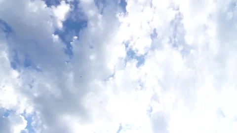 Camera tilts up into blue sky with white clouds in soft sunlight Stock Footage 312758390