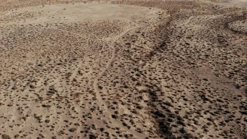 Camera Tilts Up from Desert to Sand Dunes - Aerial Stock Footage 144298868