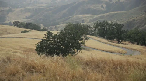 Camera tilts down to winding road nestled in rolling hills of grass Stockbeeldmateriaal 31741324