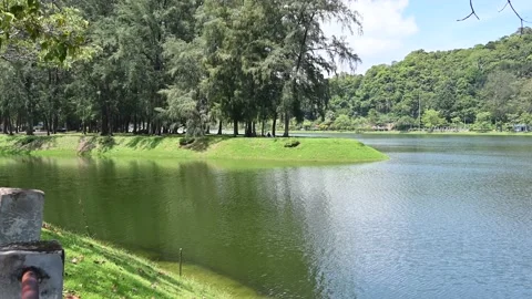 Camera Tilts Up on Nai Harn Lake Stock Footage 203805007