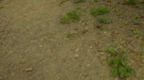 Camera tilts up to reveal beautiful mountain scene Stock Footage 59567745