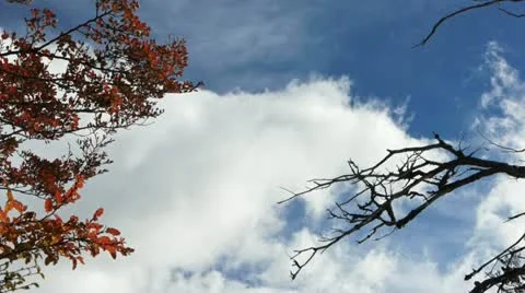 Camera tilts to reveal Mount Fitzroy in Argentina Stock Footage 12515042