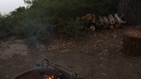 Camera tilts from stacked firewood beside tree to burning campsite fire Stock Footage 342303191