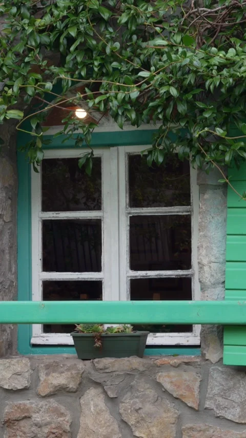 Camera tilts up from stone wall to rustic window covered in green climbing .. Stock-Footage 347243218