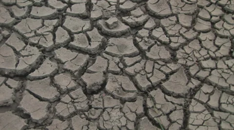 Camera tilts upwards on drought cracked ground Stock Footage 40201933