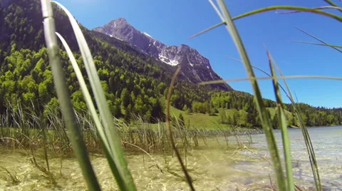 Camera track above water surface of a lake with plants in foreground. Video stock 38731628
