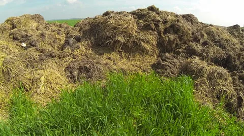 Camera track along dunghill Stock Footage 37047334