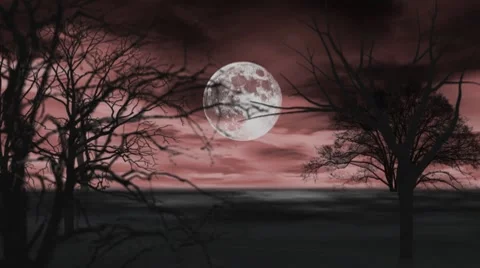 Camera track through dead trees to full moon Stock Footage 8560803