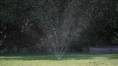 Camera tracking on backyard sprinkler Stockbeeldmateriaal 311552490