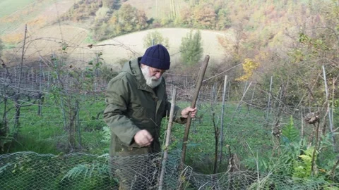 Camera tracking elderly man working in hillside vegetable garden in rural Stock Footage 336380667