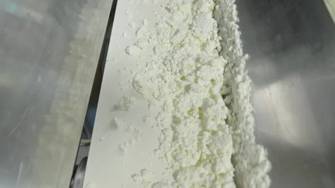 Camera tracking industrial line of cottage cheese, dairy food production Stock Footage 131078522